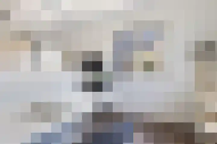 Schumanlaan 1 Woerden thumbnail 65