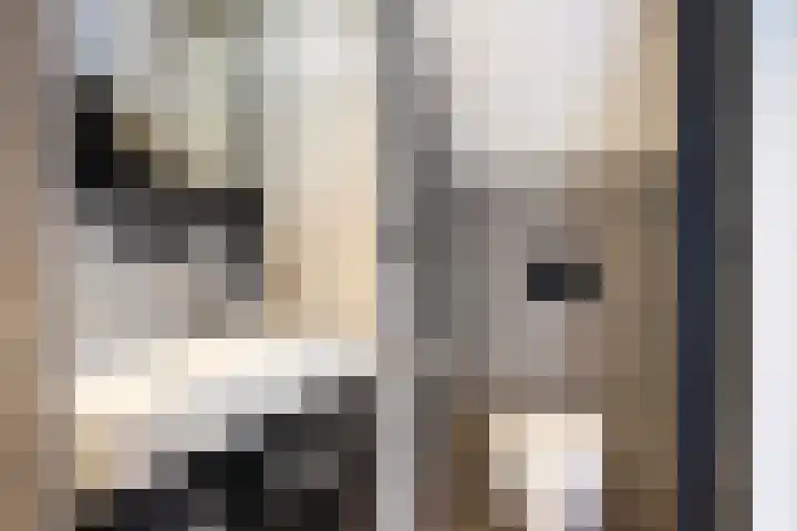 Schumanlaan 1 Woerden thumbnail 73