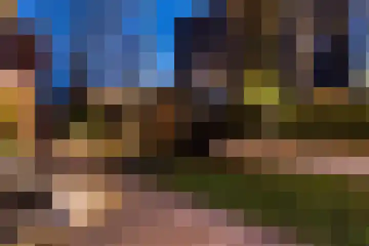 Schumanlaan 1 Woerden thumbnail 81