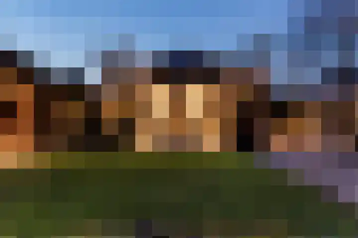 Schumanlaan 1 Woerden thumbnail 83