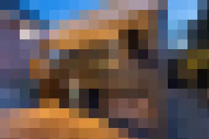 Schumanlaan 1 Woerden thumbnail 84