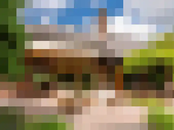Schumanlaan 13 Bergen (NH) thumbnail 87