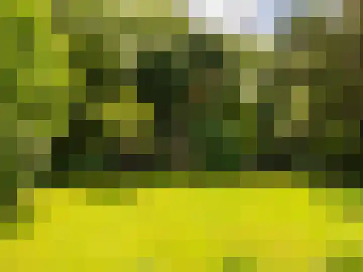 Schumanlaan 13 Bergen (NH) thumbnail 91