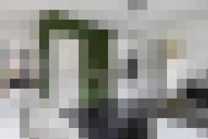 Schumanlaan 5 Woerden thumbnail 14