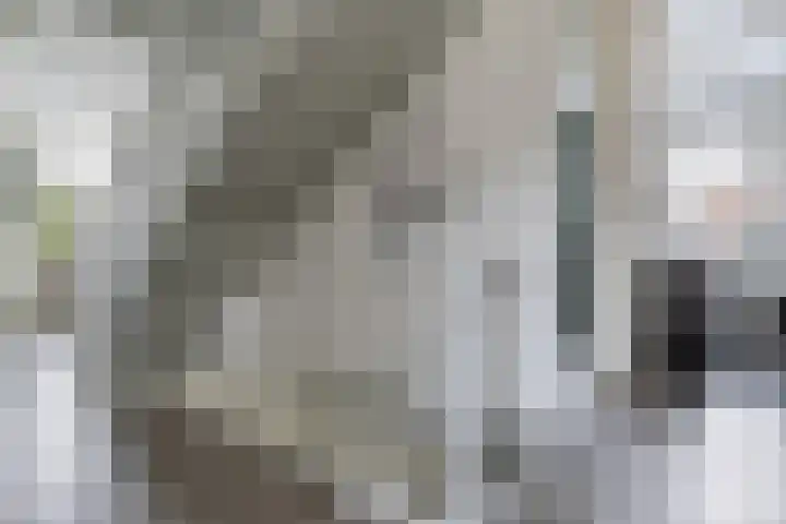 Schumanlaan 5 Woerden thumbnail 17