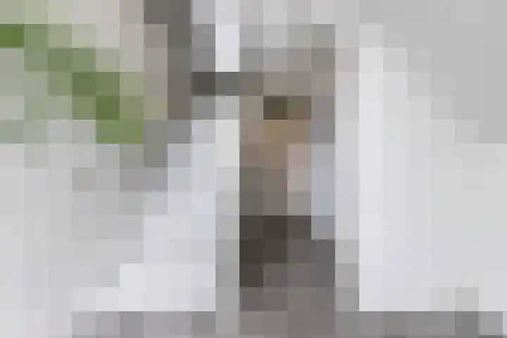 Schumanlaan 5 Woerden thumbnail 30