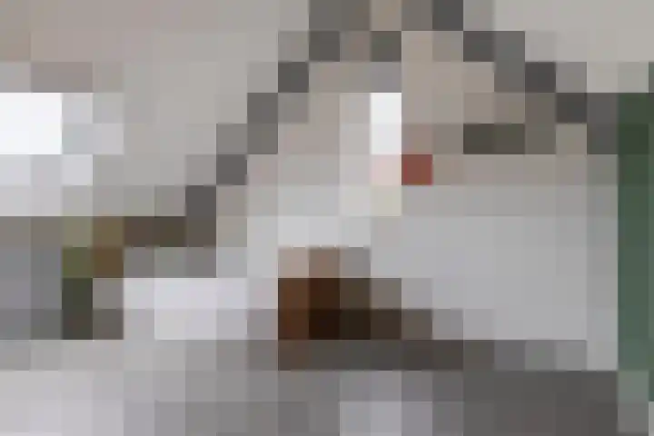 Schumanlaan 5 Woerden thumbnail 35