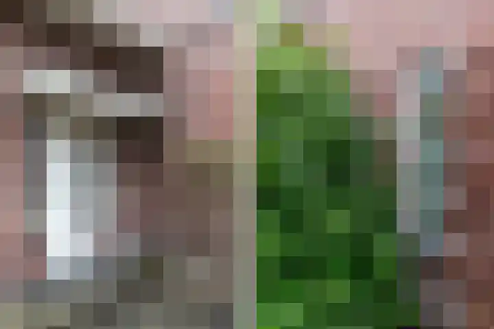 Schumanlaan 5 Woerden thumbnail 4