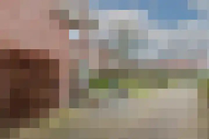 Schumanlaan 5 Woerden thumbnail 43