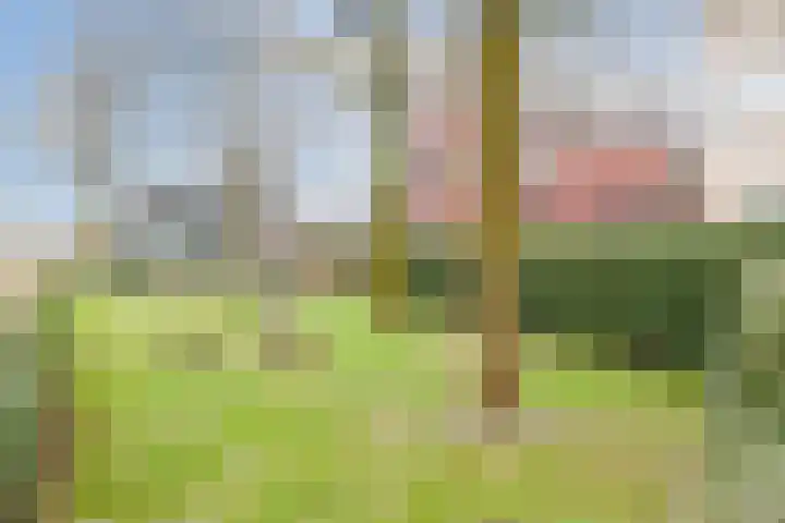 Schumanlaan 5 Woerden thumbnail 45