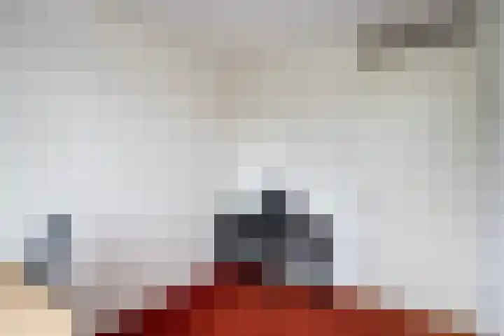 Schumannlaan 105 Zwolle thumbnail 23