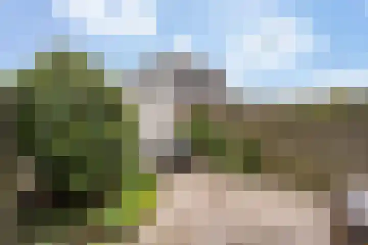 Schumannlaan 105 Zwolle thumbnail 24