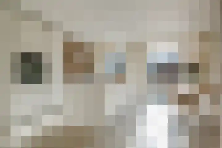 Schumannlaan 141 Zwolle thumbnail 15