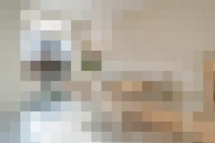Schumannlaan 141 Zwolle thumbnail 16