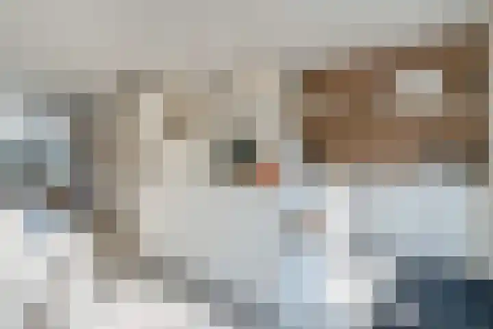 Schumannlaan 141 Zwolle thumbnail 17