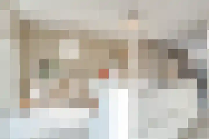 Schumannlaan 141 Zwolle thumbnail 19
