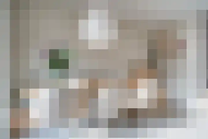 Schumannlaan 141 Zwolle thumbnail 22