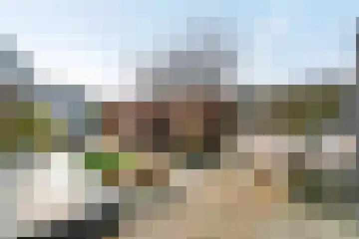 Schumannlaan 141 Zwolle thumbnail 24