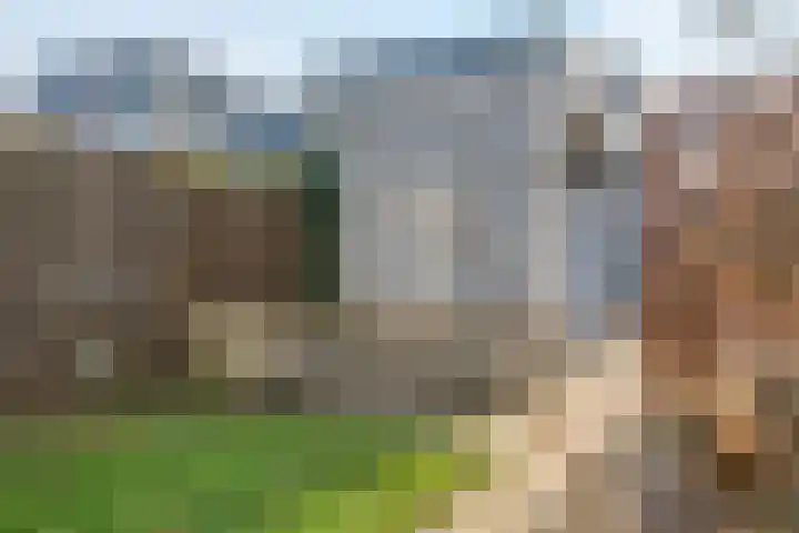Schumannlaan 141 Zwolle thumbnail 26