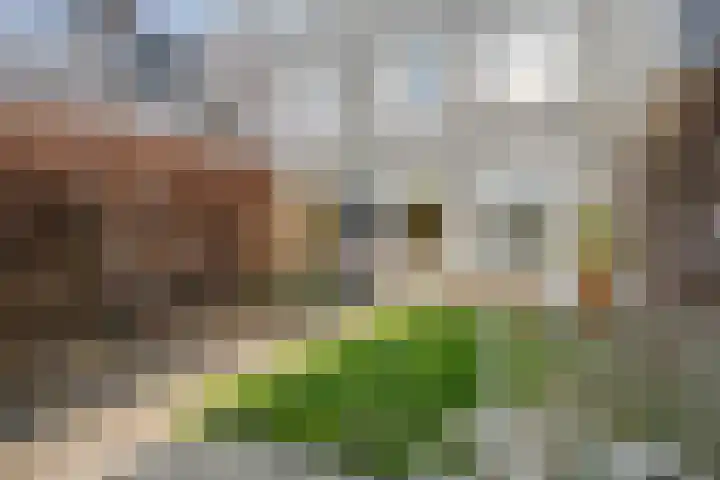 Schumannlaan 141 Zwolle thumbnail 27