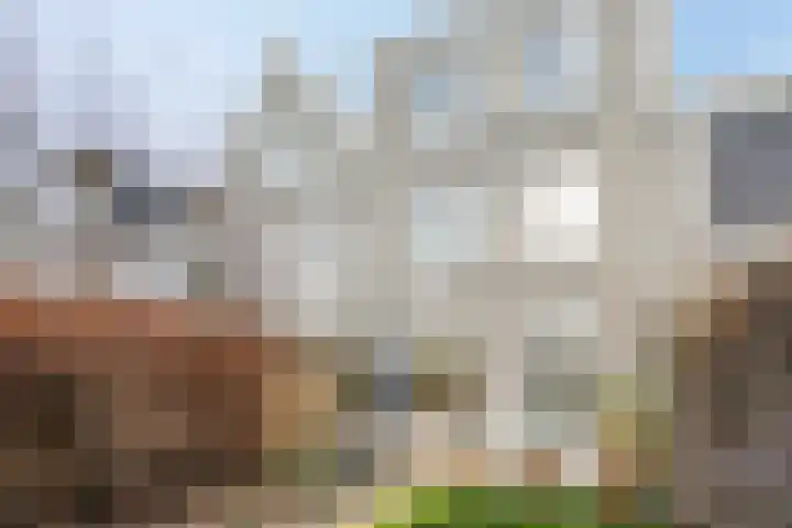 Schumannlaan 141 Zwolle thumbnail 28