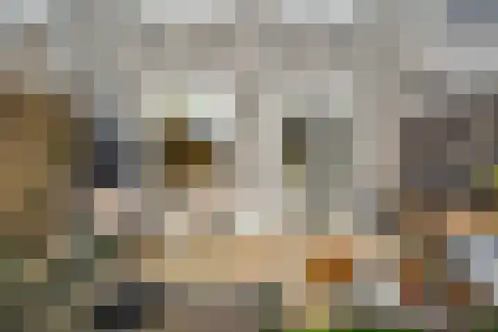 Schumannlaan 141 Zwolle thumbnail 29