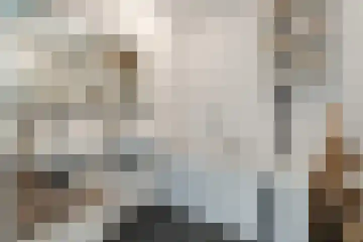 Schumannlaan 141 Zwolle thumbnail 36