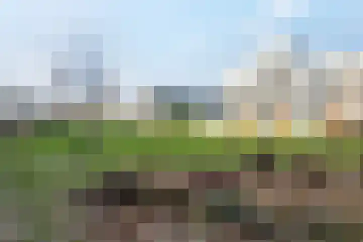 Schumannlaan 141 Zwolle thumbnail 4