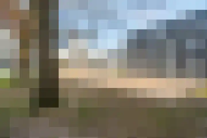 Schumannlaan 141 Zwolle thumbnail 52