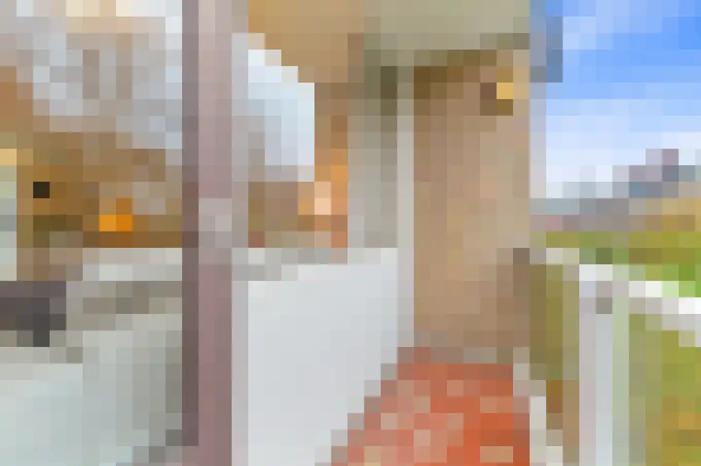 Schumannlaan 16 Rotterdam thumbnail 10