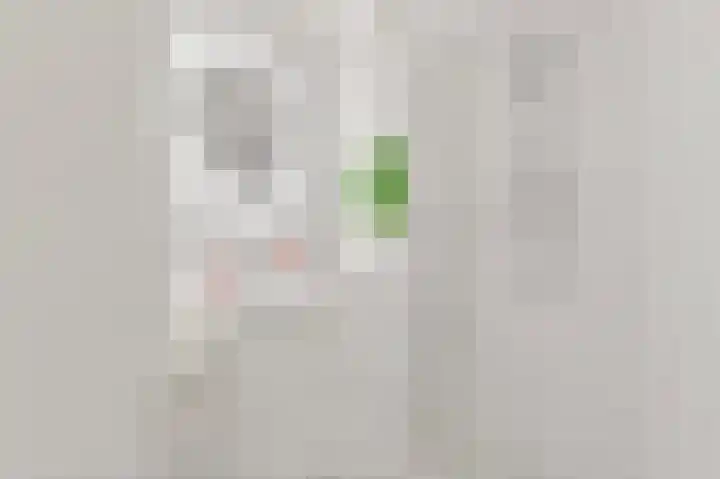 Schumannlaan 16 Rotterdam thumbnail 19