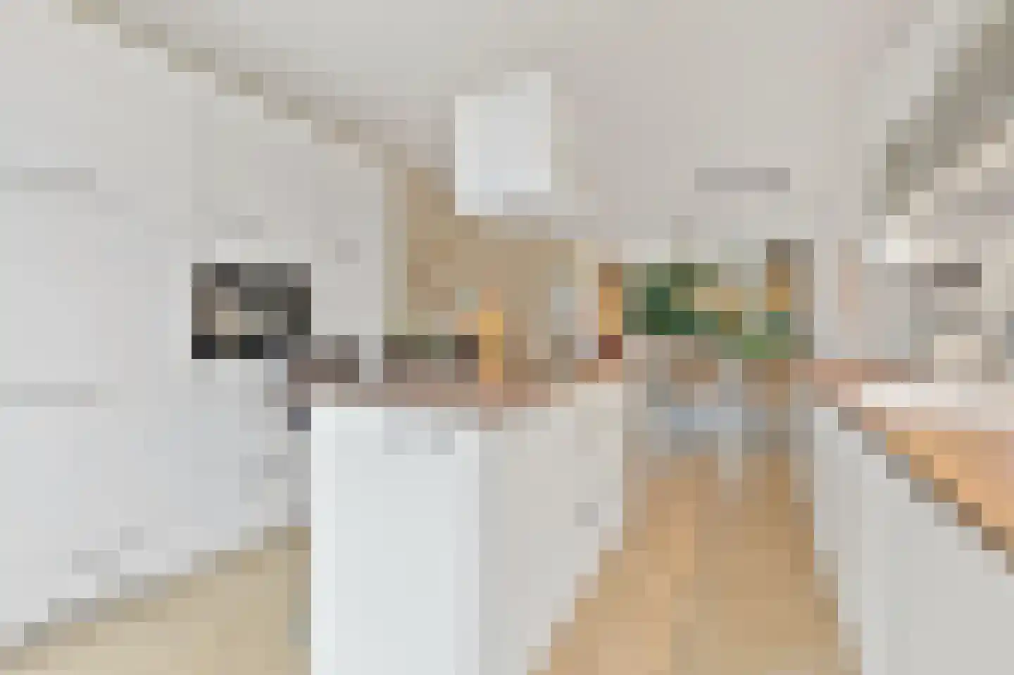Schumannlaan 16 Rotterdam thumbnail 8