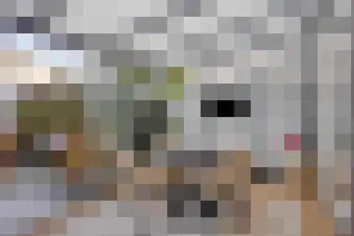 Schumannlaan 161 Zwolle thumbnail 13