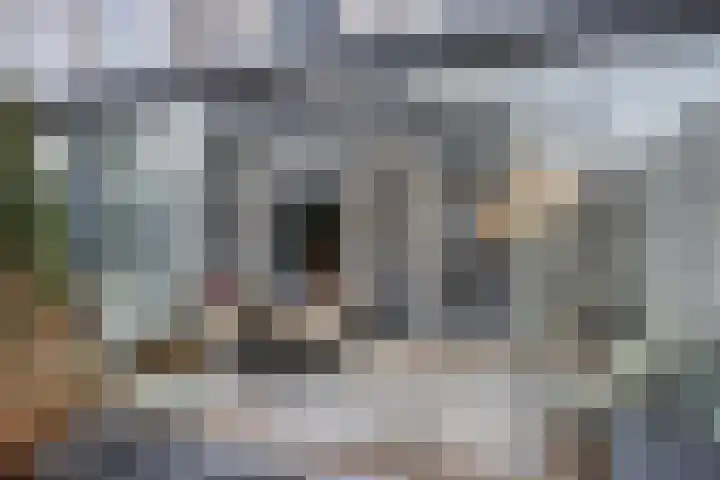 Schumannlaan 161 Zwolle thumbnail 14