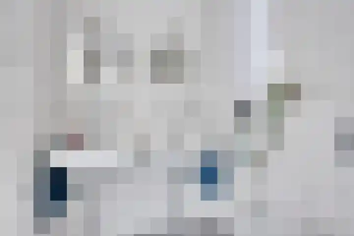 Schumannlaan 161 Zwolle thumbnail 21