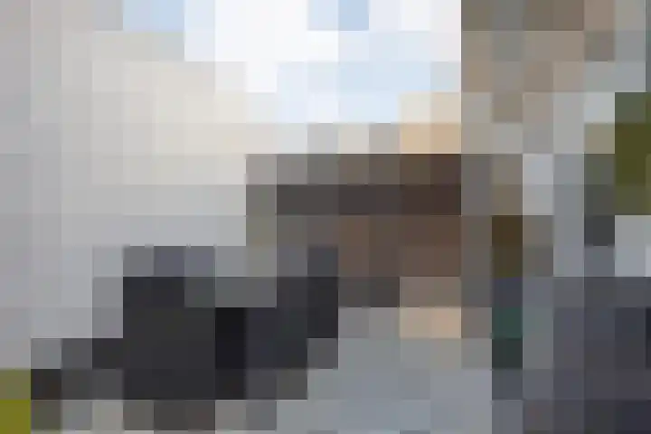 Schumannlaan 161 Zwolle thumbnail 27