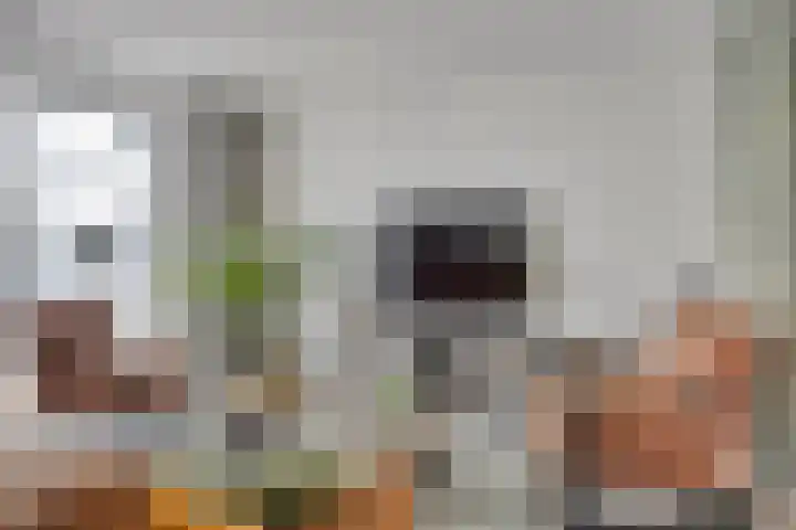 Schumannlaan 161 Zwolle thumbnail 5