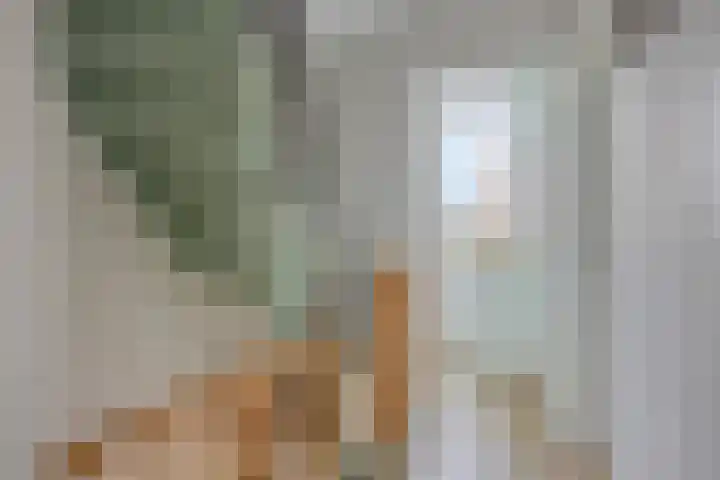 Schumannlaan 17 Enschede thumbnail 20