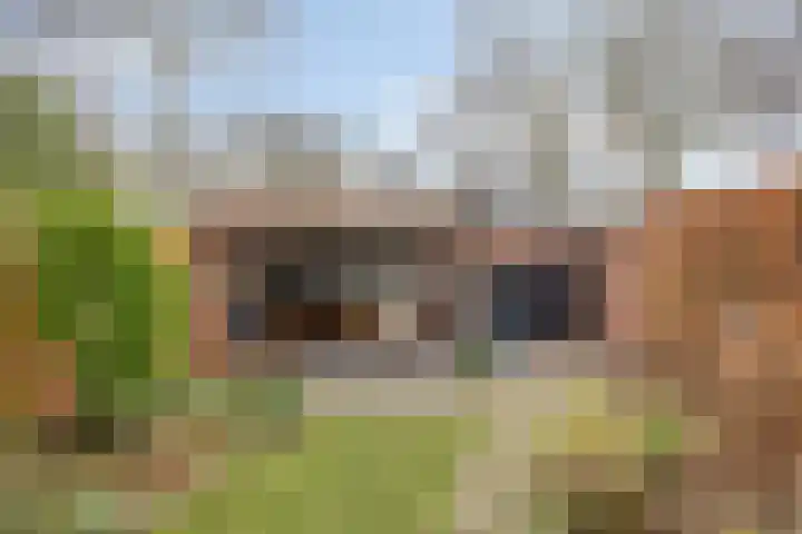 Schumannlaan 17 Enschede thumbnail 34