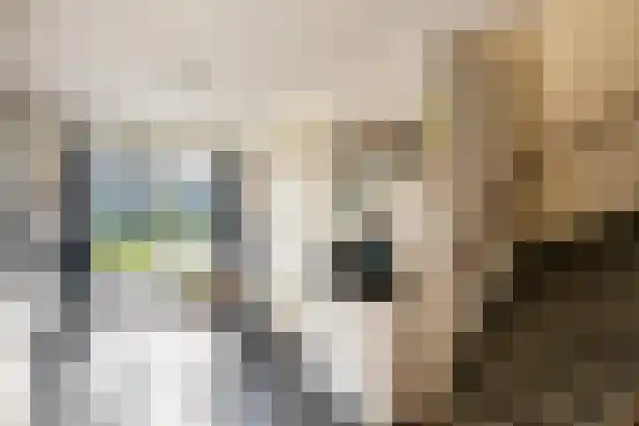 Schumannlaan 21 Zwolle thumbnail 13