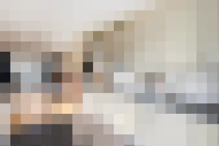 Schumannlaan 21 Zwolle thumbnail 14
