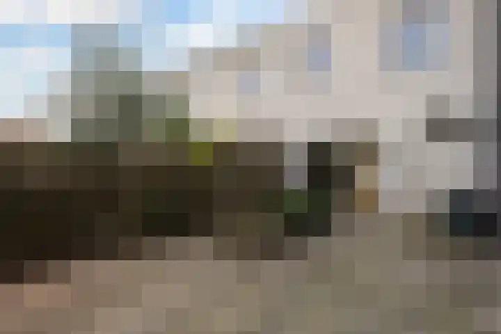 Schumannlaan 21 Zwolle thumbnail 24