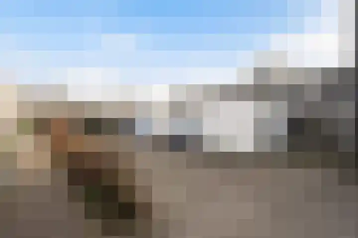 Schumannlaan 21 Zwolle thumbnail 26