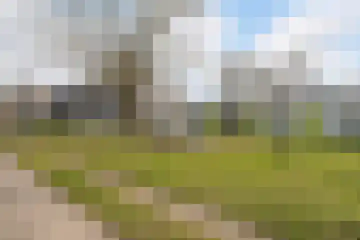 Schumannlaan 21 Zwolle thumbnail 28