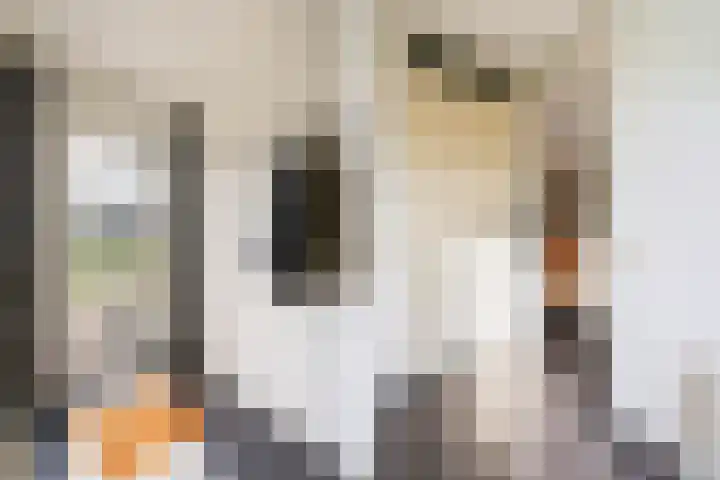 Schumannlaan 21 Zwolle thumbnail 6