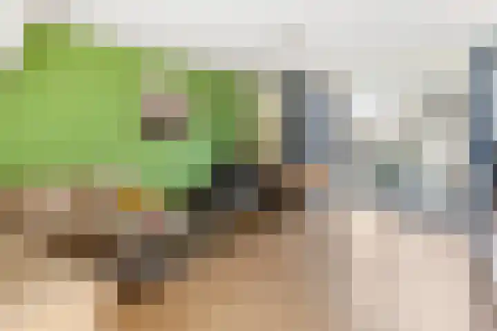Schumannlaan 21 Zwolle thumbnail 8
