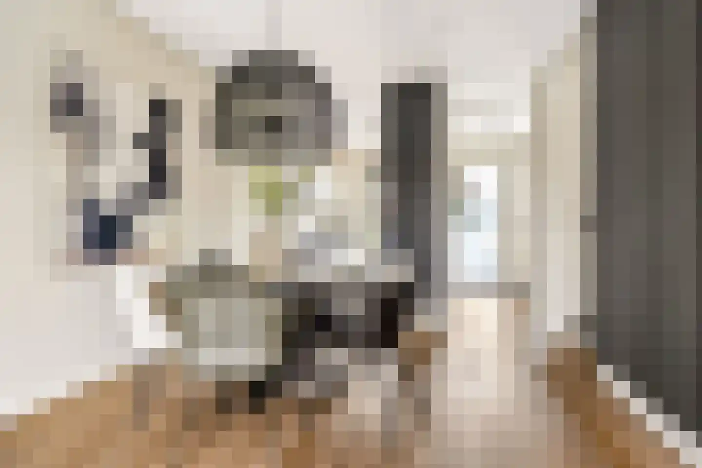 Schumannlaan 36 Zwolle thumbnail 11
