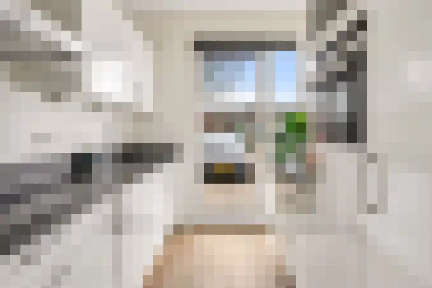 Schumannlaan 36 Zwolle thumbnail 12