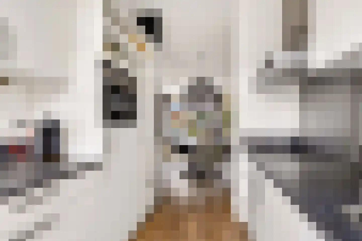 Schumannlaan 36 Zwolle thumbnail 13