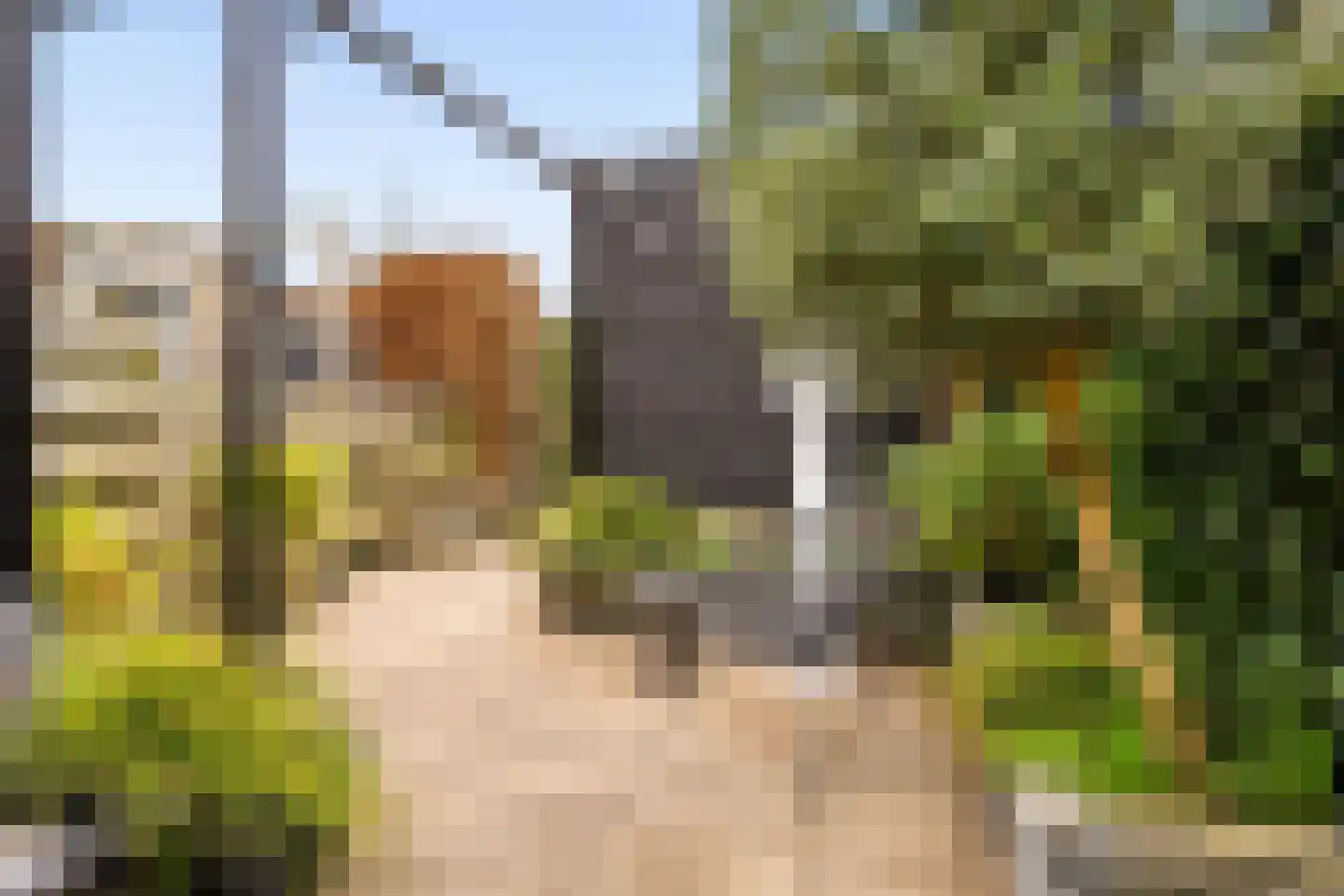 Schumannlaan 36 Zwolle thumbnail 25